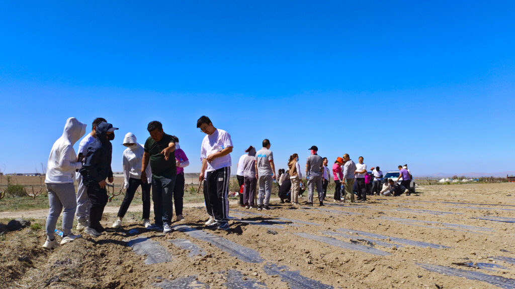 走进田园 播种希望|k8凯发物流春种团建活动