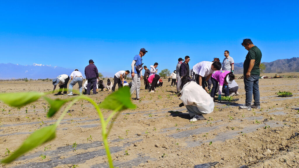 走进田园 播种希望|k8凯发物流春种团建活动