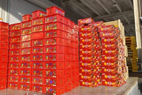 新年佳礼